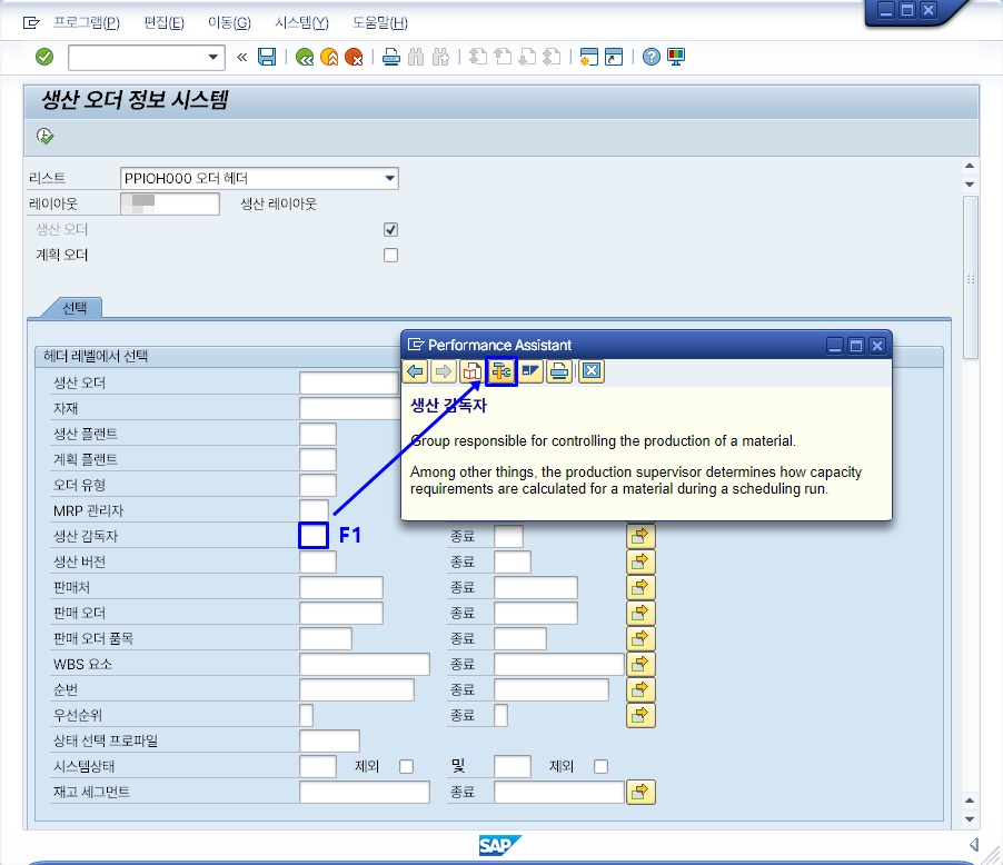 필드에 커서를 놓고 F1을 눌러 Performance Assistant 도움말 창이 뜬 SAP 화면