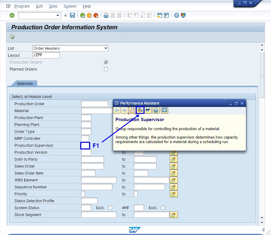 SAP screen with the cursor on a field and the Performance Assistant help window opened via F1